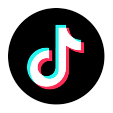 TikTok AI Agent Logo - 숏폼 플랫폼 + 개발자 API로 발행·광고 리포팅 자동화